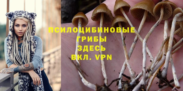 MDMA Алексеевка