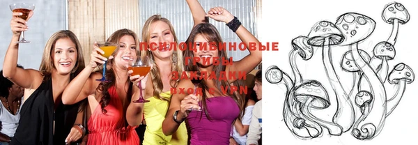 наркотики Алексин